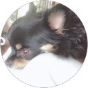 shi profile picture