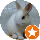 USABITO profile picture
