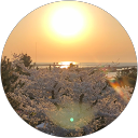 シマゆり profile picture