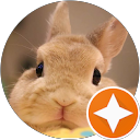 みやあのん profile picture