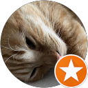 M S profile picture