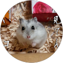 Yuki iMomura profile picture