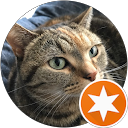 hiroming profile picture