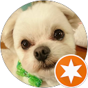りゃん profile picture