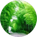 Tiep Phuong profile picture