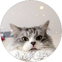 K S profile picture