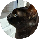 Barney profile picture