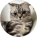 Walana Thawonkuncharat profile picture