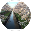 Satoshi Arai profile picture