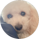 shogo ___ profile picture