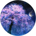 しらっくすカナの profile picture