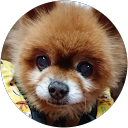 貴子細野 profile picture
