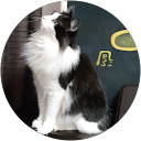 あす profile picture