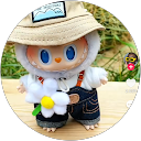 NTP PHƯƠNG profile picture