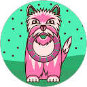 泉(ぬーの人) profile picture