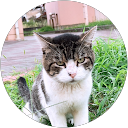 あき profile picture