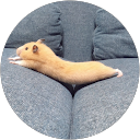 ツナつな profile picture
