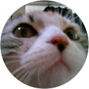 yuya13 n profile picture
