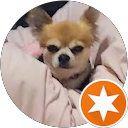 ひろすず profile picture