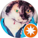 陳Q profile picture