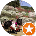 ゆかり profile picture
