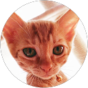 SHOP PONTA profile picture