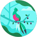 スイ profile picture