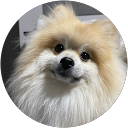 ぼー profile picture