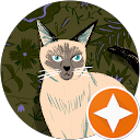 信澤大輝 profile picture