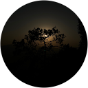 Kushagra Garg profile picture
