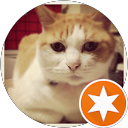 こがね profile picture