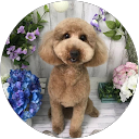 ちえみ profile picture