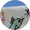 住岡尚 profile picture