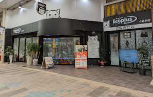 エコプラス 小倉本店 place picture