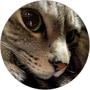 wkn i profile picture