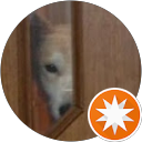 N Y profile picture