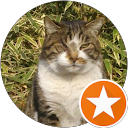 伊達玄治 profile picture