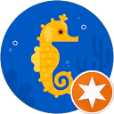 pomera profile picture