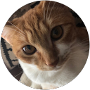 さばかん profile picture