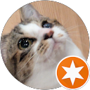 みぃすけ profile picture