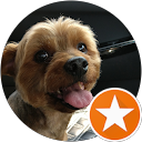 ヨーキーエイキチ profile picture