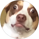 REO HACK profile picture