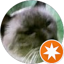 Z M profile picture