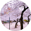 吉山茜 profile picture