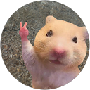 ビタミンカラーちゃん profile picture