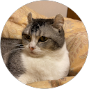 peggy profile picture