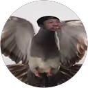 I yamato profile picture