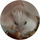 あまずちゃん profile picture