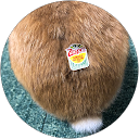 ルーカズ profile picture