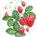 やまもと profile picture